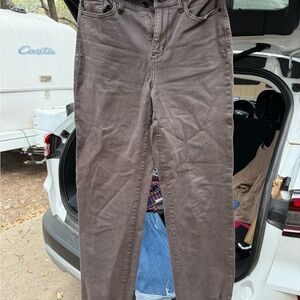 Judy Blue women’s Dark Brown Straight Jeans